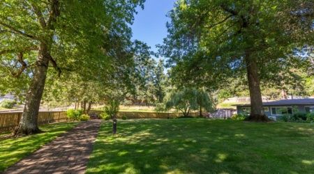 A serene park scene with lush green grass and towering trees under a clear blue sky.