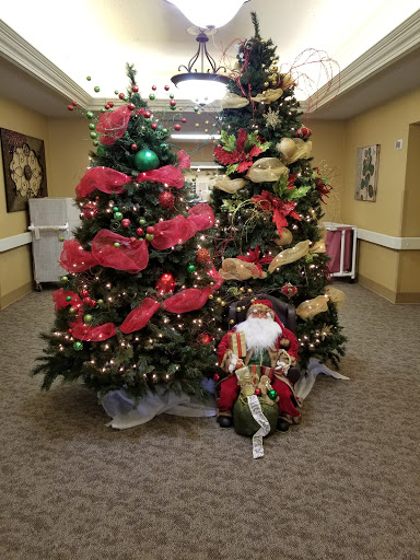 A festive display featuring beautifully decorated Christmas trees and a decorative doll, creating a joyful holiday atmosphere.
