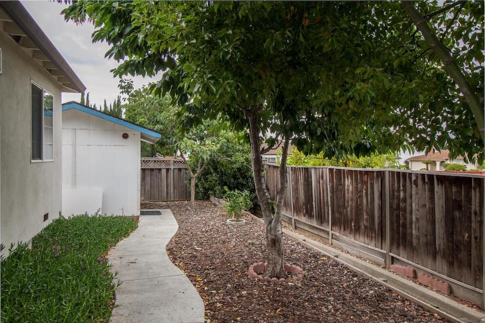 A serene backyard with a tree, wooden fence, and a curved pathway.