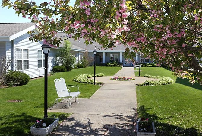 A scenic garden path lined with lampposts and a bench under blooming trees.