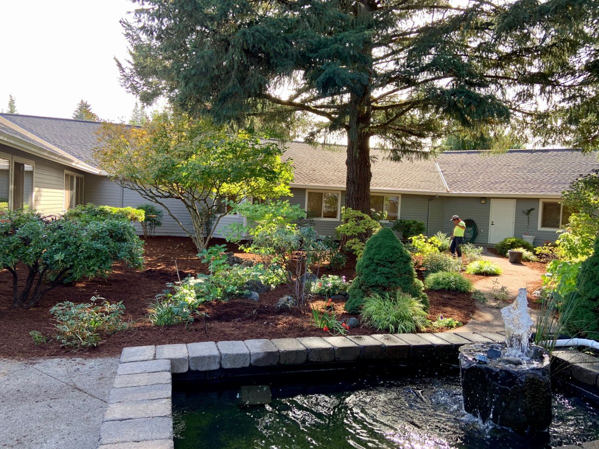 Magnolia Gardens Senior Living and Memory Care