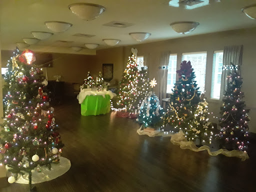 A beautifully decorated indoor space featuring multiple themed Christmas trees ready for holiday festivities.