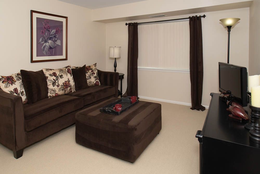 A cozy living room with a dark brown sofa, matching coffee table, and elegant decor.