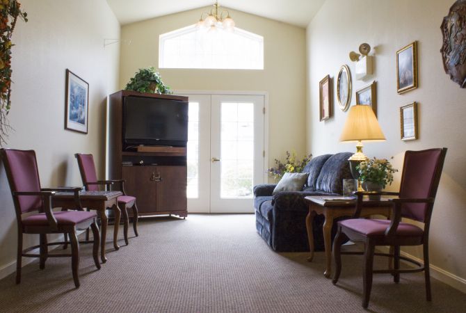 A cozy living room with a sofa, television, and elegant decor.