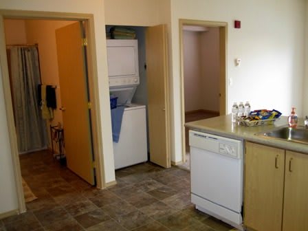 An apartment interior featuring a compact kitchen and laundry area.