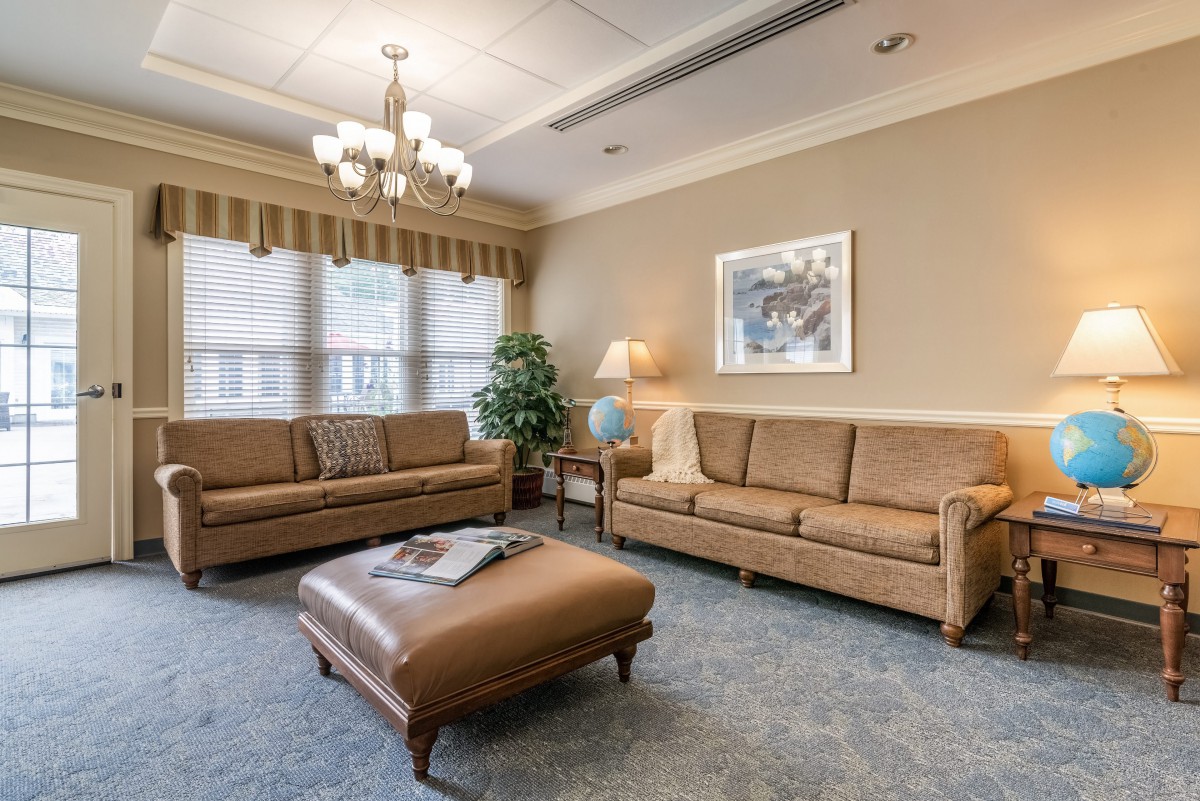 A cozy living room with two sofas, a coffee table, and a lamp, beautifully decorated with artwork and indoor plants.