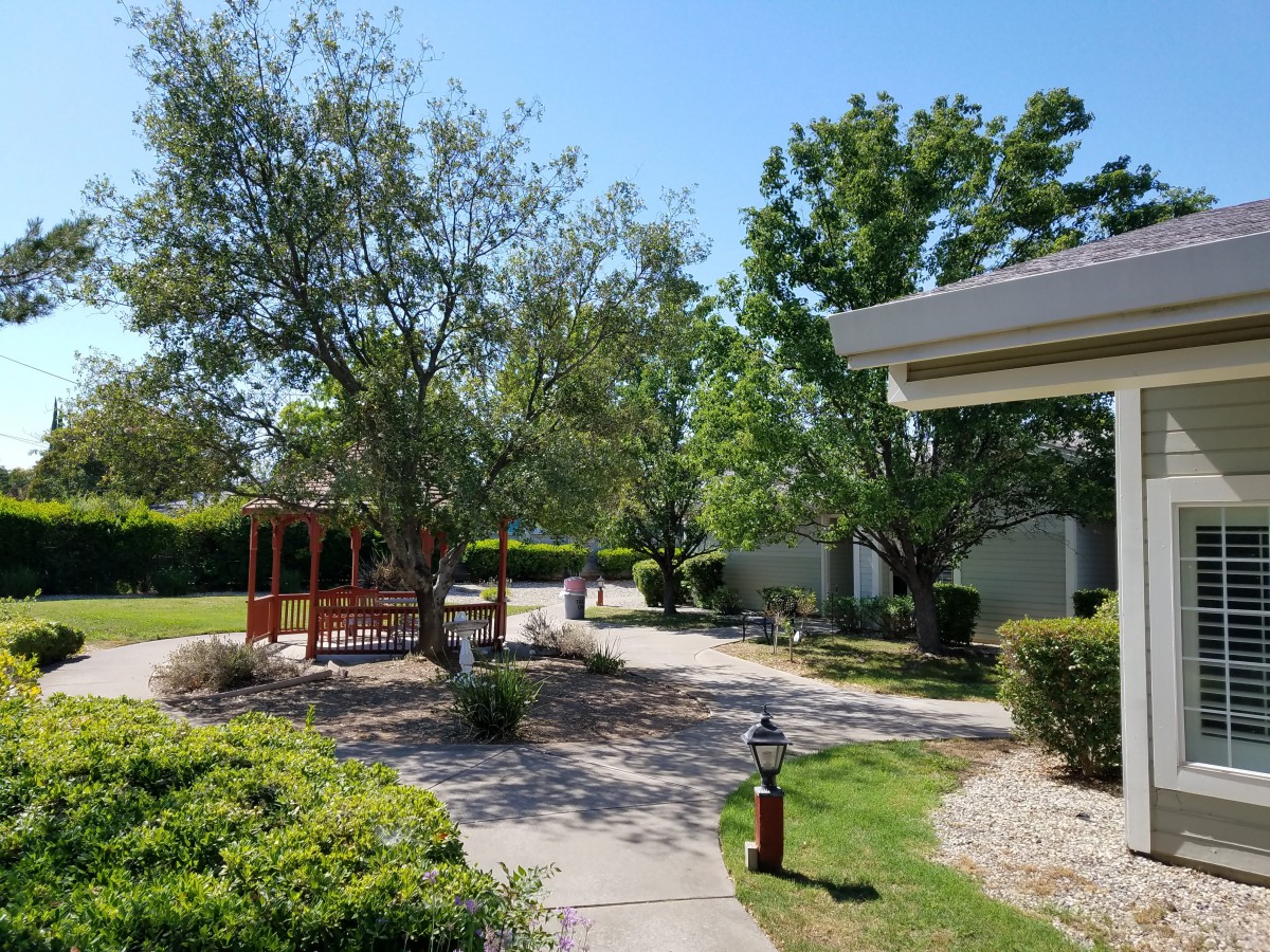 A serene garden walkway with lush greenery and trees under a clear blue sky.