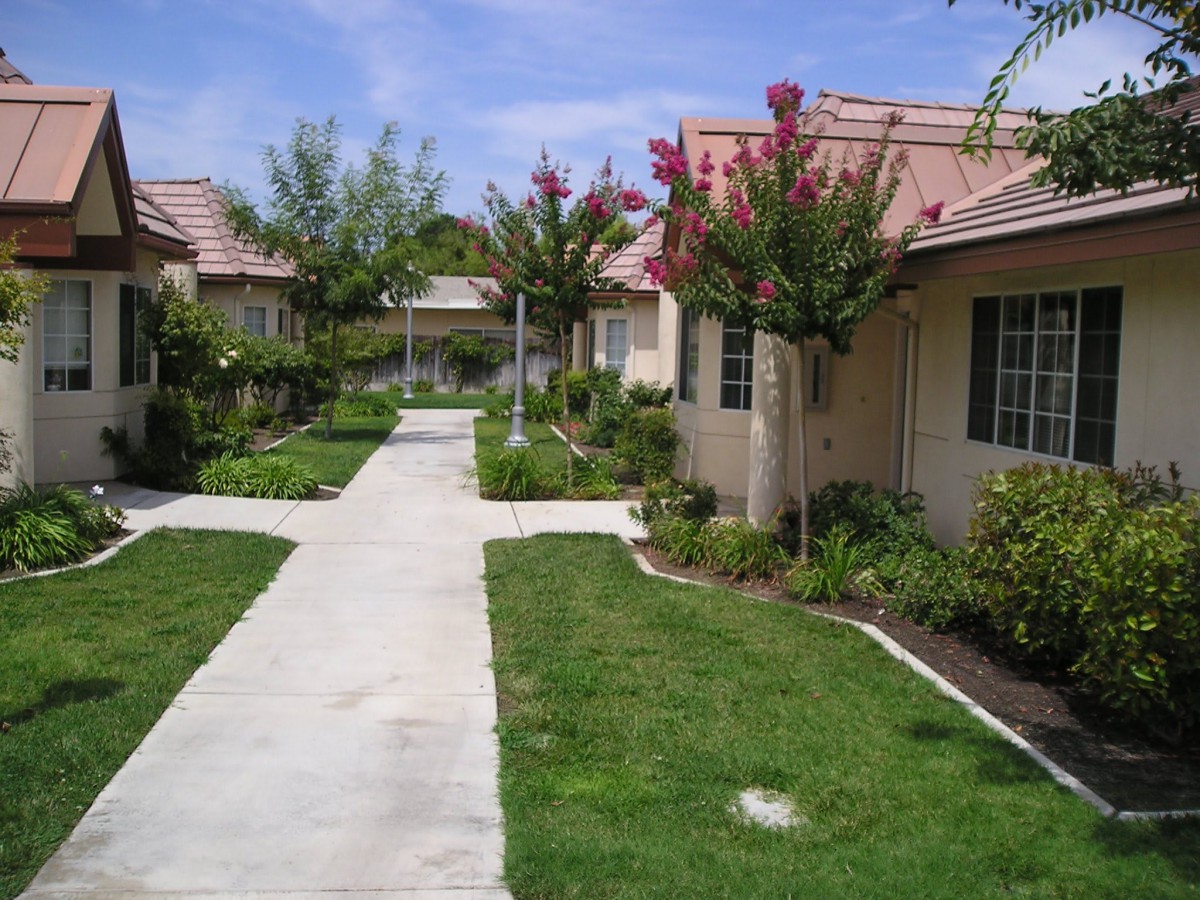 A peaceful residential area with a sidewalk lined by houses and landscaped gardens.