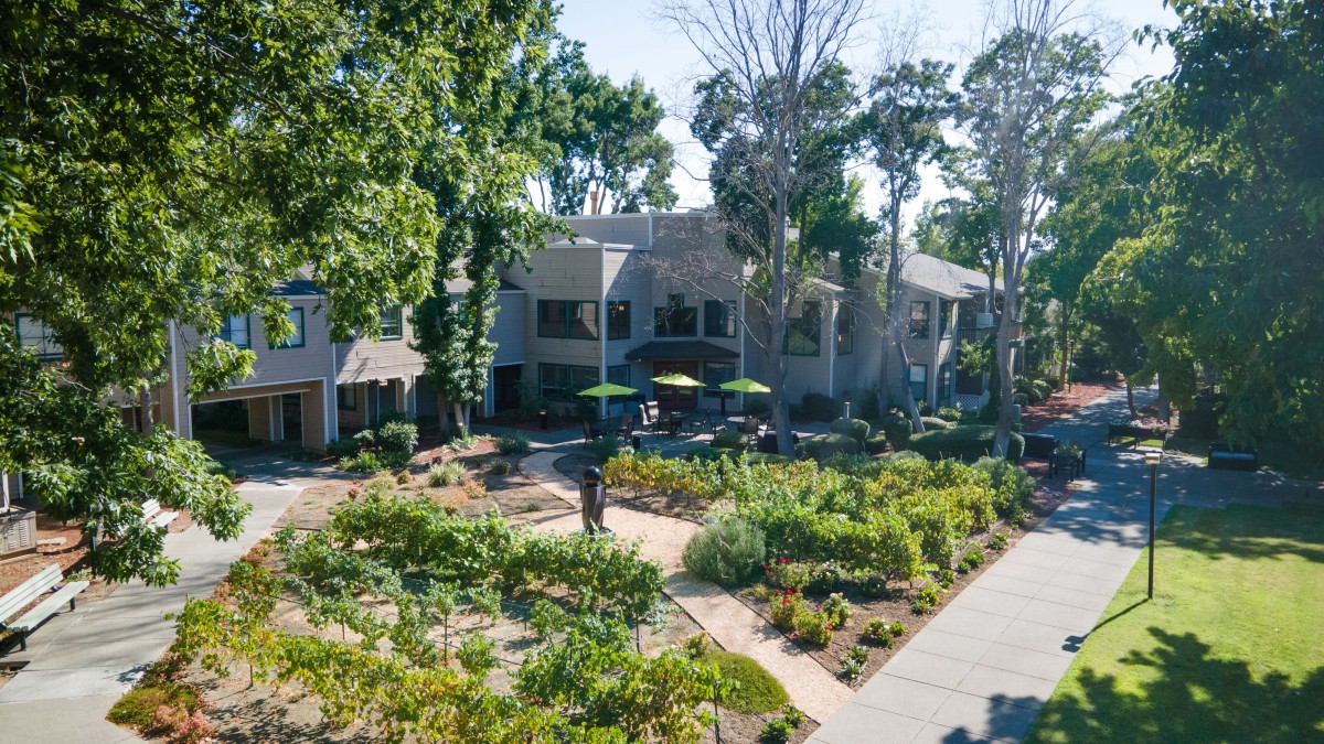A beautiful garden with lush greenery and pathways in a residential area.
