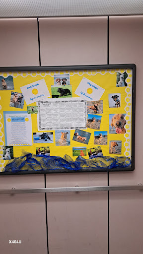 A colorful bulletin board featuring various images of dogs, educational materials, and a cheerful yellow backdrop.