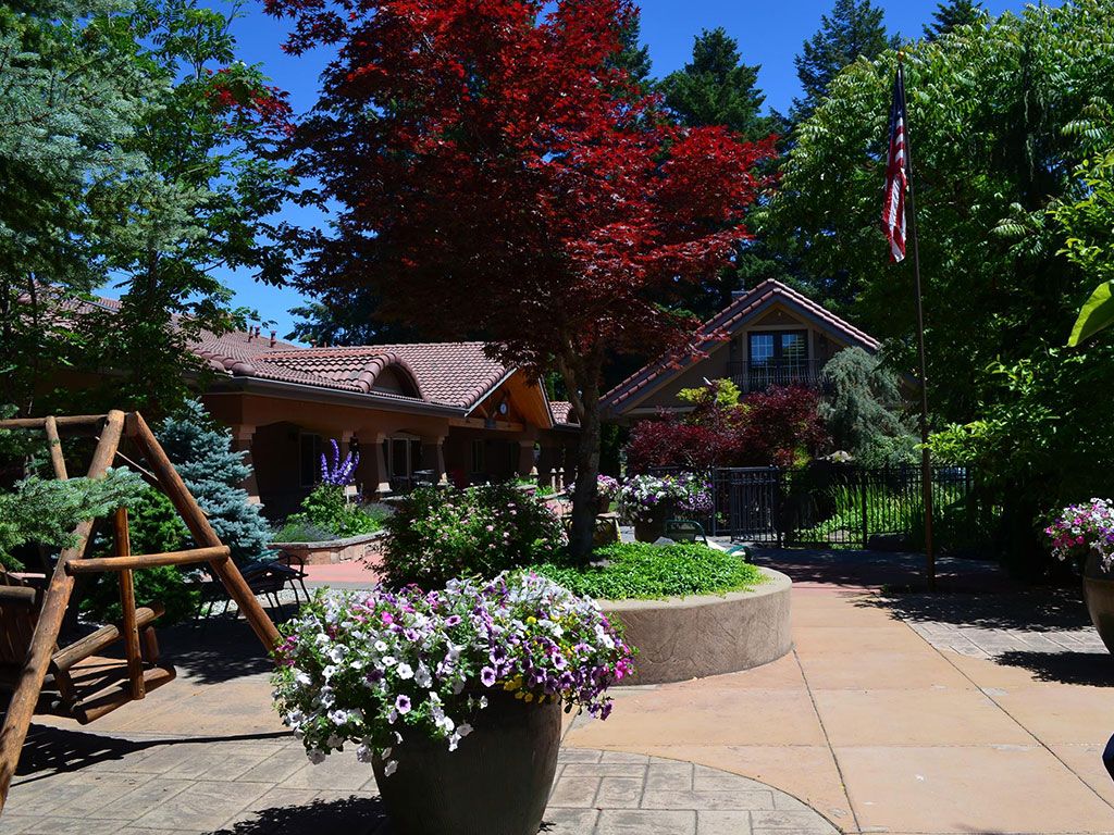 A beautifully landscaped garden with vibrant foliage and a charming house in the background.