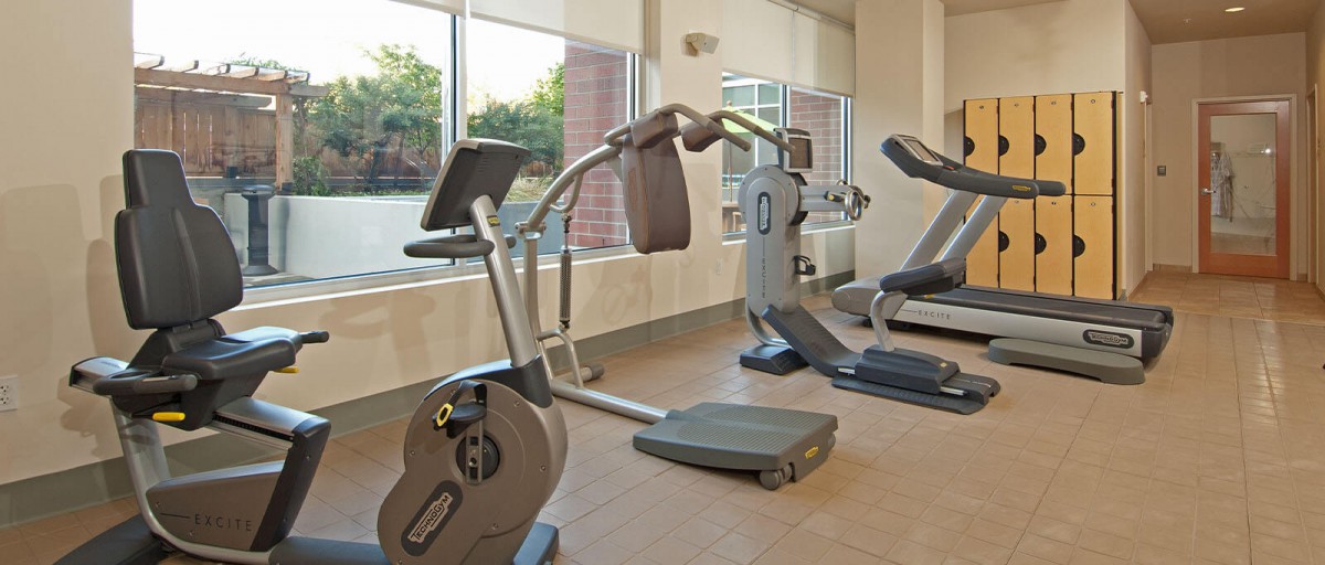 A well-equipped gym with exercise machines and natural lighting.
