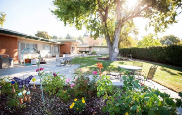 A sunny backyard garden with outdoor seating and vibrant flowers.