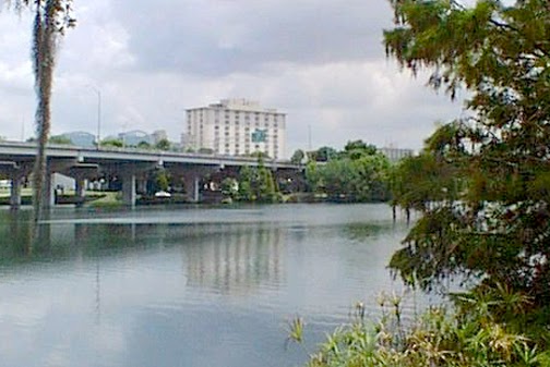 Magnolia Towers