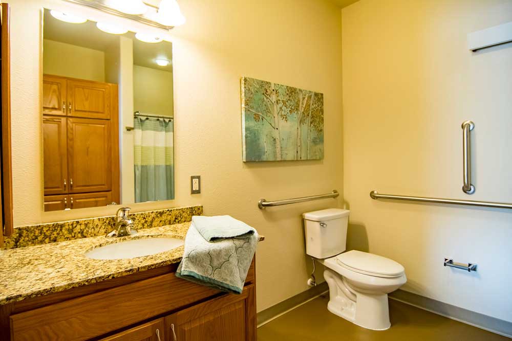A well-lit bathroom featuring a toilet, sink with wooden cabinets, and wall-mounted artwork.