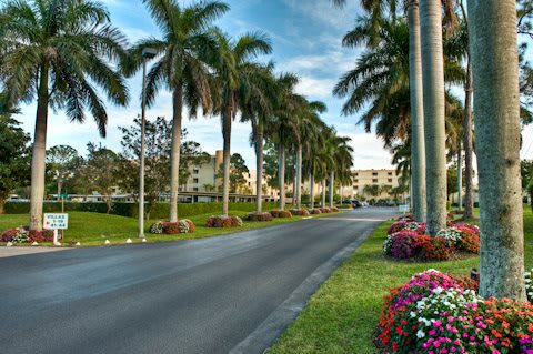 A scenic road lined with palm trees and vibrant flowerbeds leading to residential buildings under a clear sky.