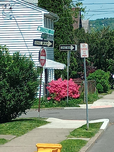 A colorful corner in a neighborhood featuring street signs, a stop sign, and blooming pink flowers.