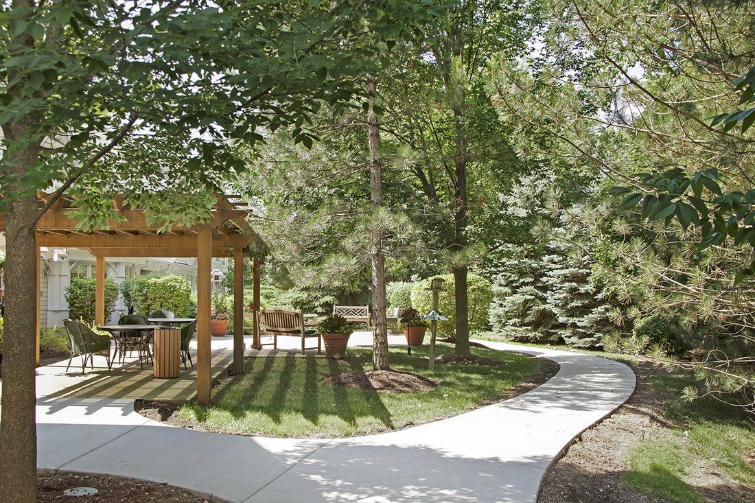 A tranquil garden with a winding pathway, shaded by trees and featuring a pergola.