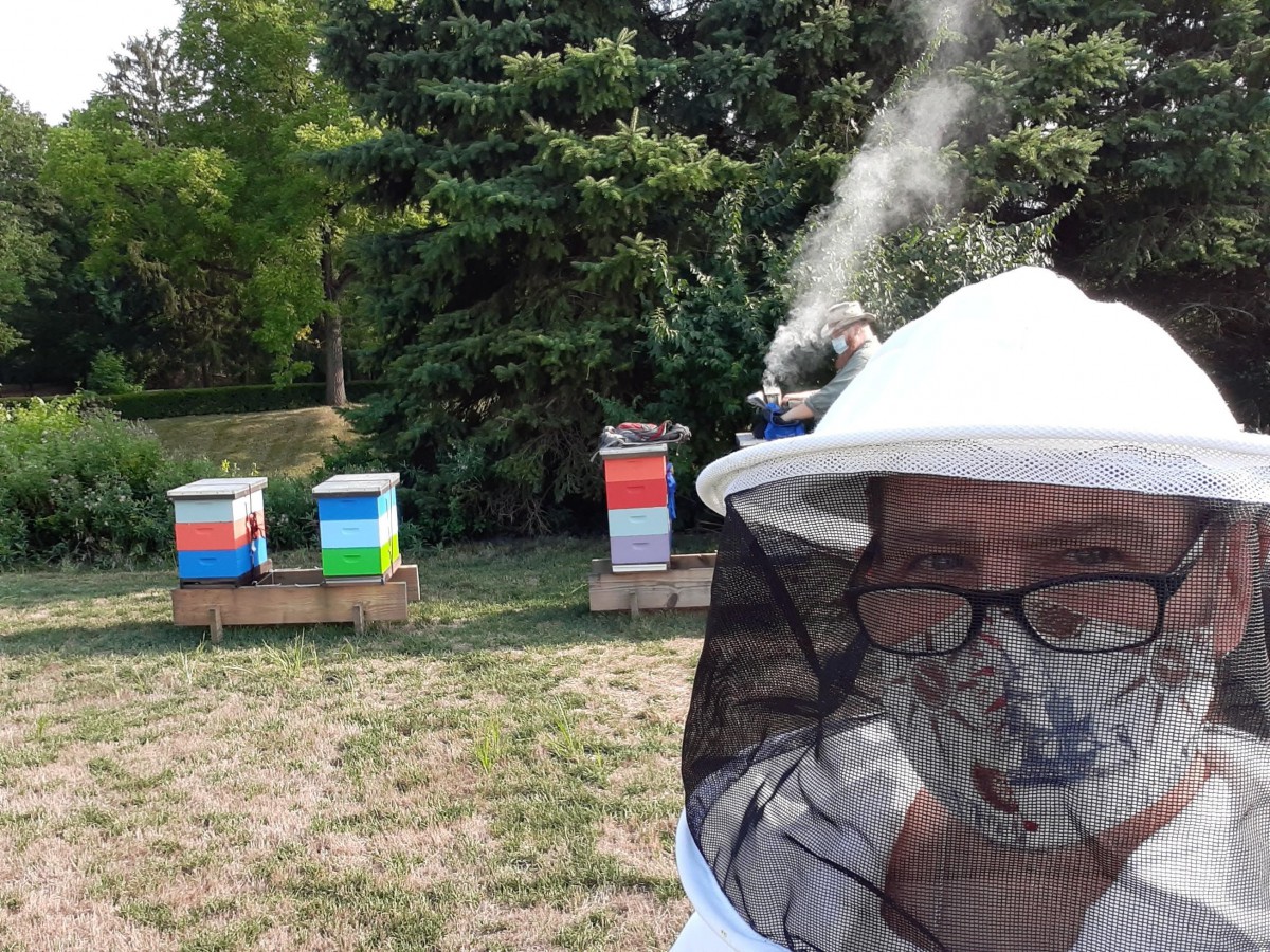 A beekeeper wearing protective gear tends to colorful beehives in an outdoor setting.