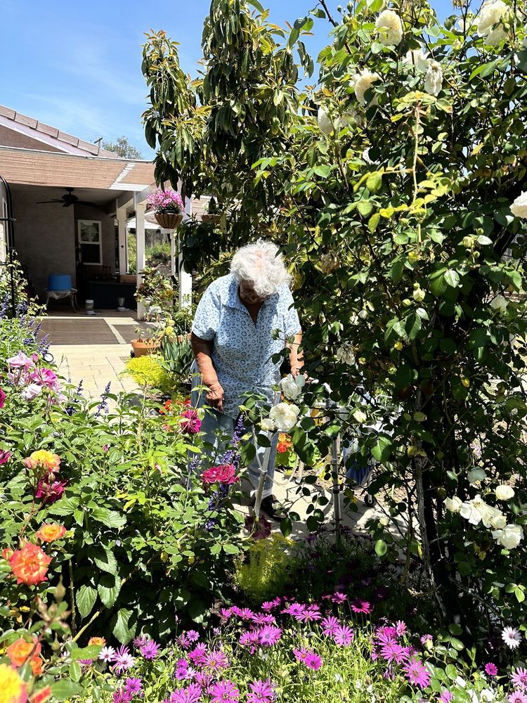 A person tending to a vibrant garden on a sunny day.