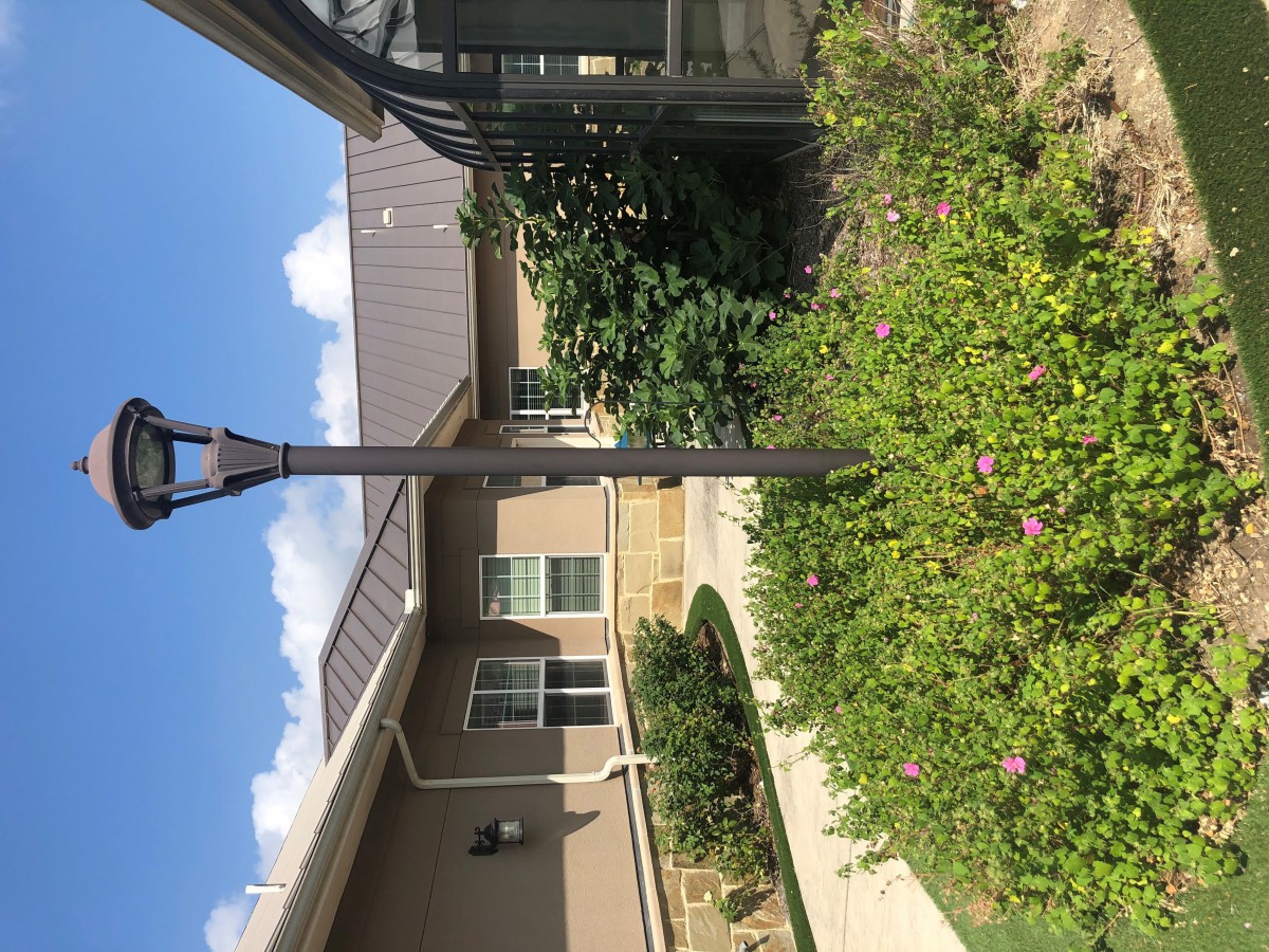 A residential backyard features a lamp post, garden, and pathway under a clear blue sky.