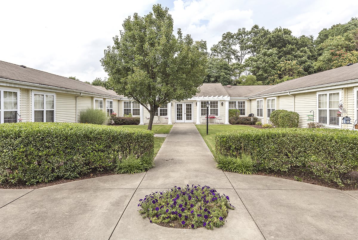 A peaceful courtyard with a pathway leading to a building, surrounded by hedges and trees.