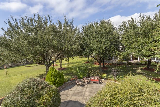 A tranquil garden view with a patio set under the shade of lush trees.