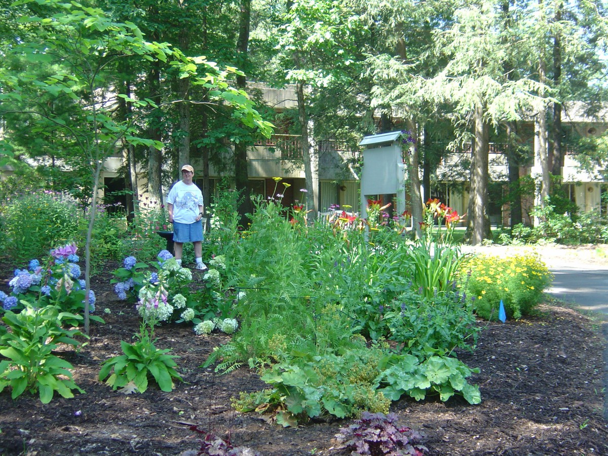 A person stands in a lush garden surrounded by various plants and flowers, with trees in the background.