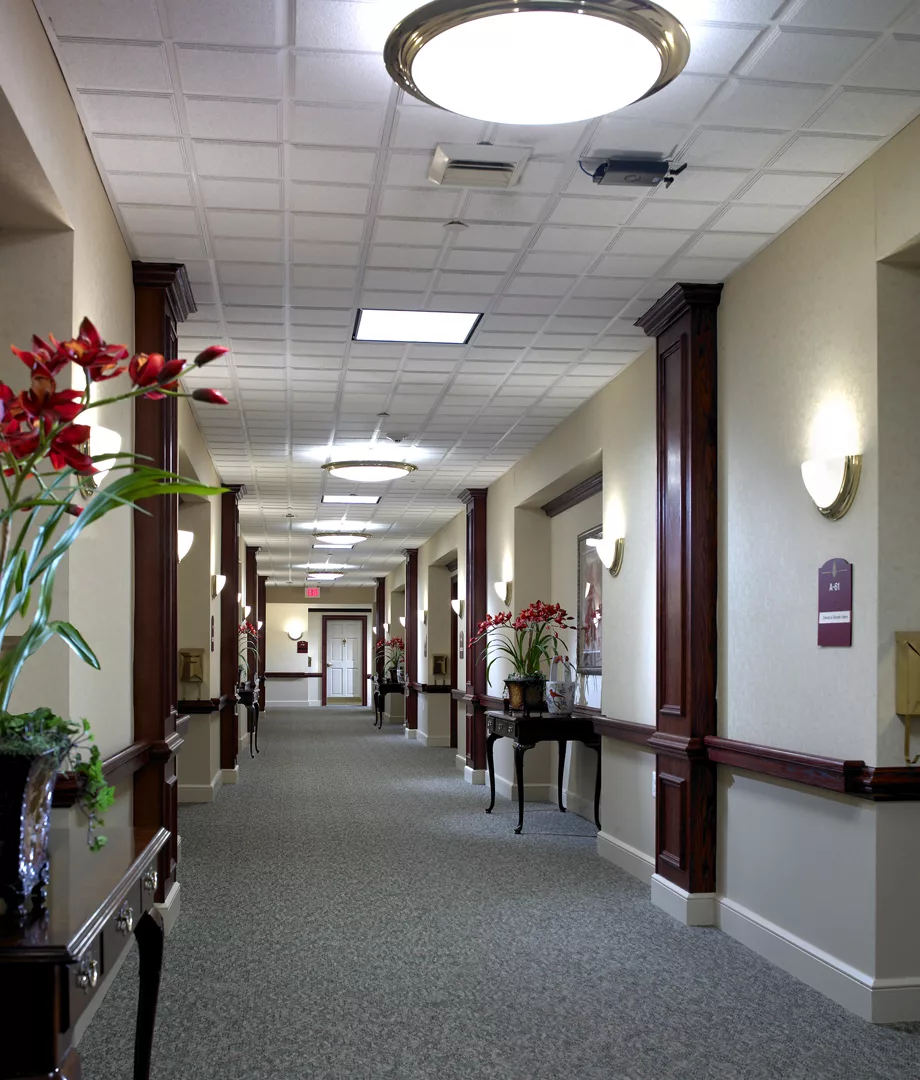 A well-lit hallway with decorative plants and elegant furnishings.