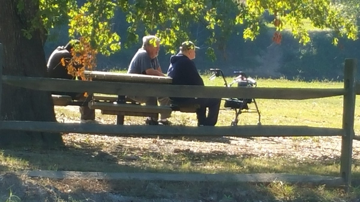 Two people sitting on a park bench enjoying the sunny day surrounded by trees.