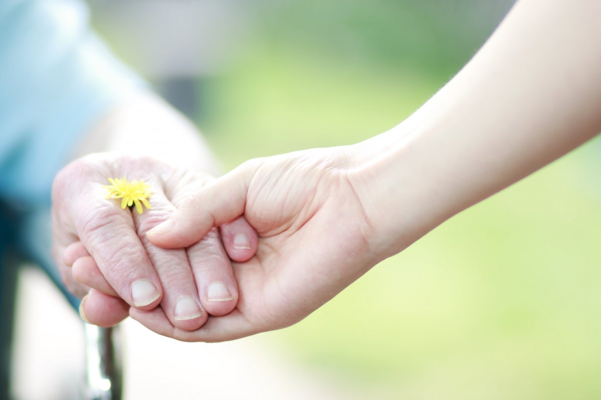 Whole Life Home Care