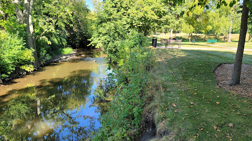 A serene view of a river bordered by lush greenery in a peaceful park.