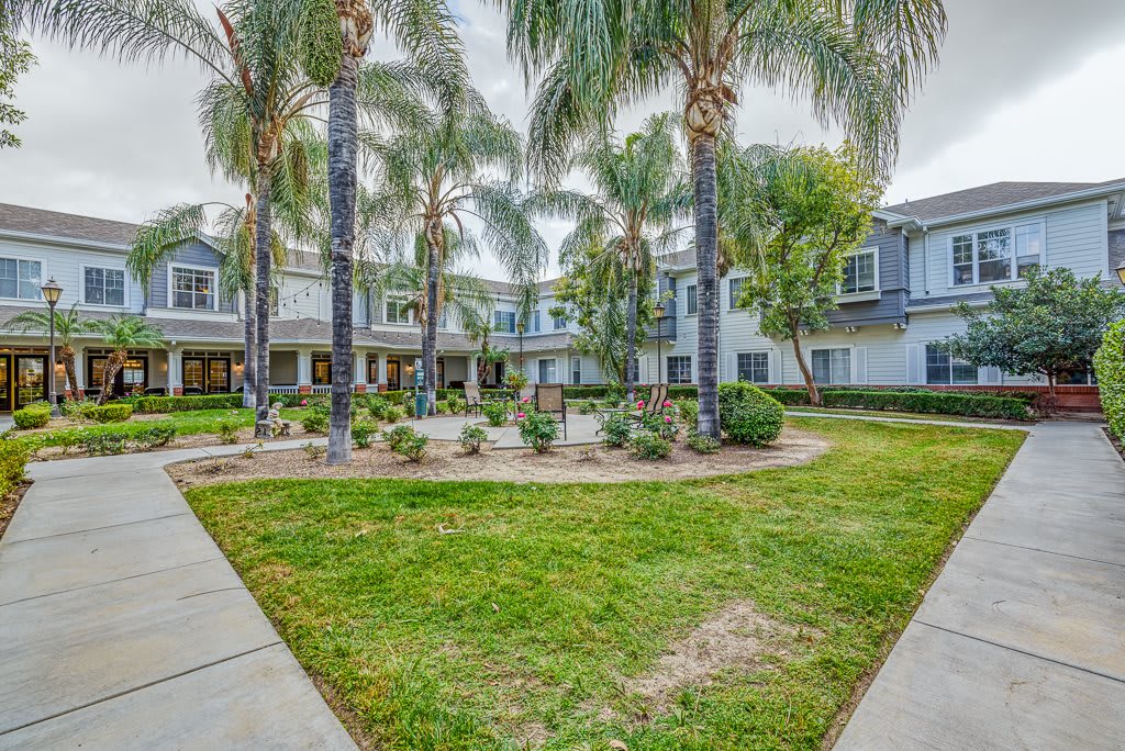 A beautiful courtyard with palm trees and a landscaped garden in an apartment complex.