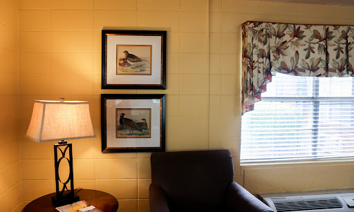 A cozy corner of a living room featuring framed bird artwork, a lamp, and a window with patterned curtains.