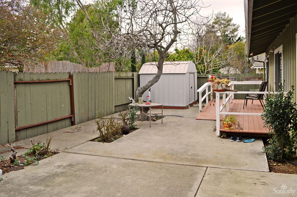 A quiet backyard with a tree, shed, and deck area.