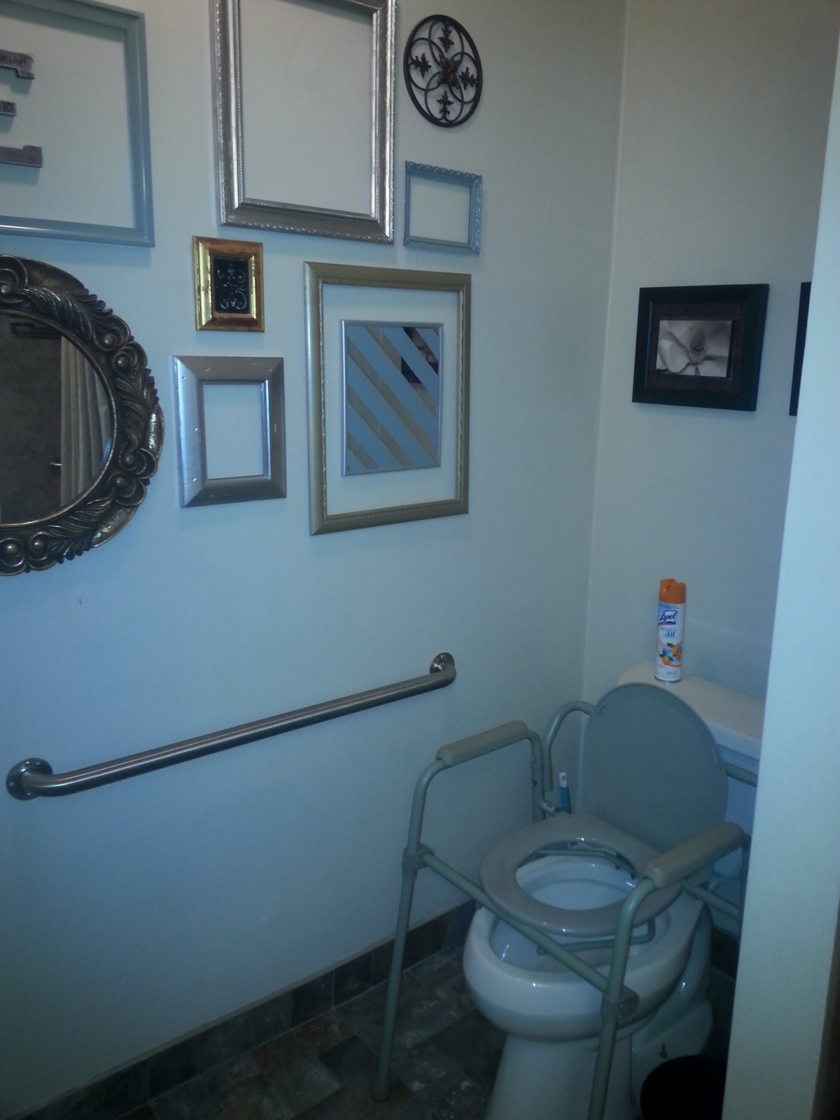 A bathroom featuring a toilet with support bars and decorative wall frames.