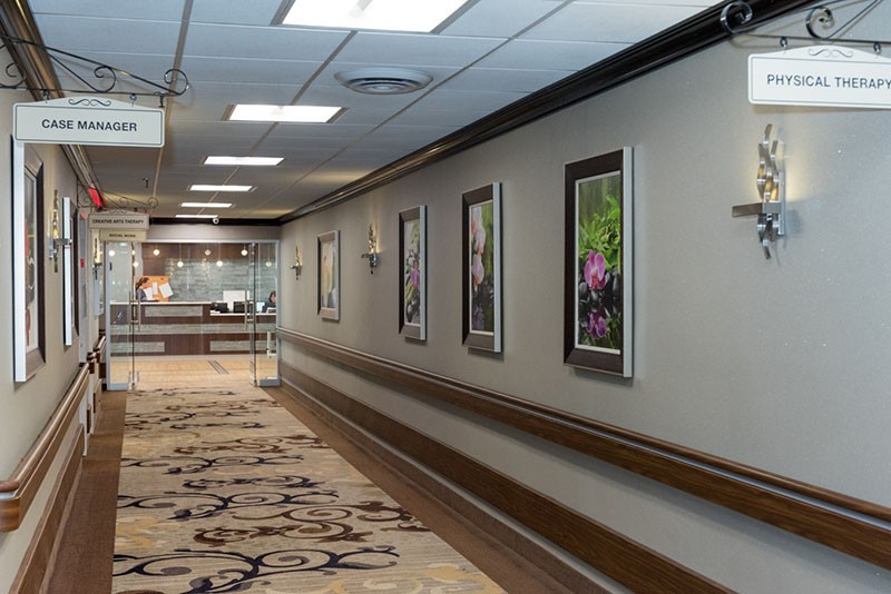 A well-lit hallway with framed paintings on the wall, featuring a carpeted floor and modern interior design.