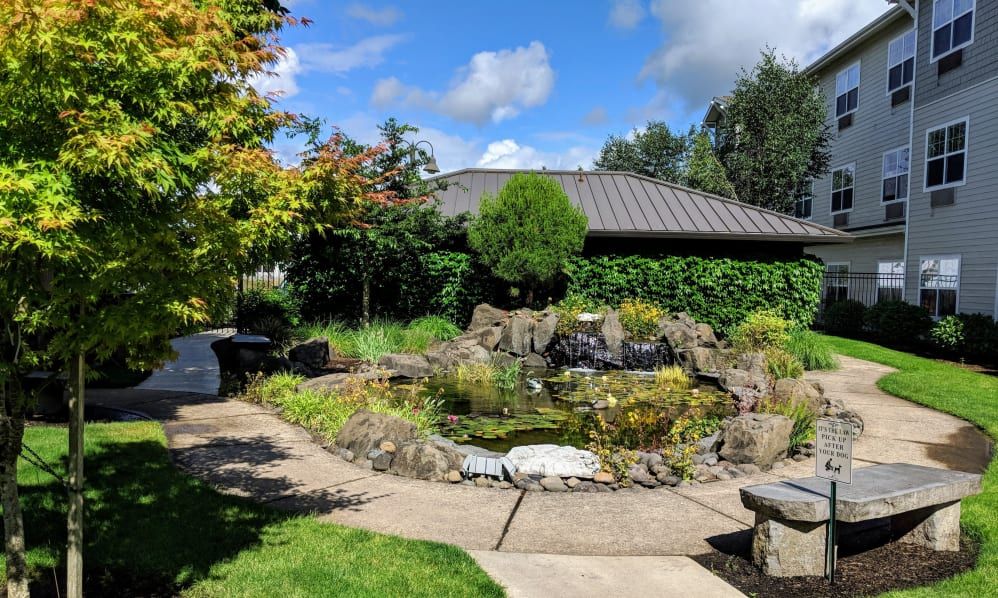 Timber Pointe Senior Living
