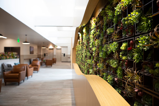 A beautifully designed interior featuring a vertical garden that adds a touch of nature to the modern space.