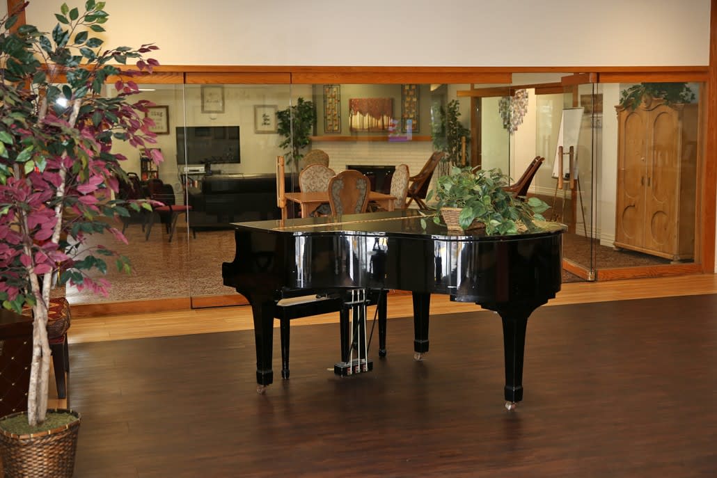 A grand piano in a spacious living room with plants and mirrors.