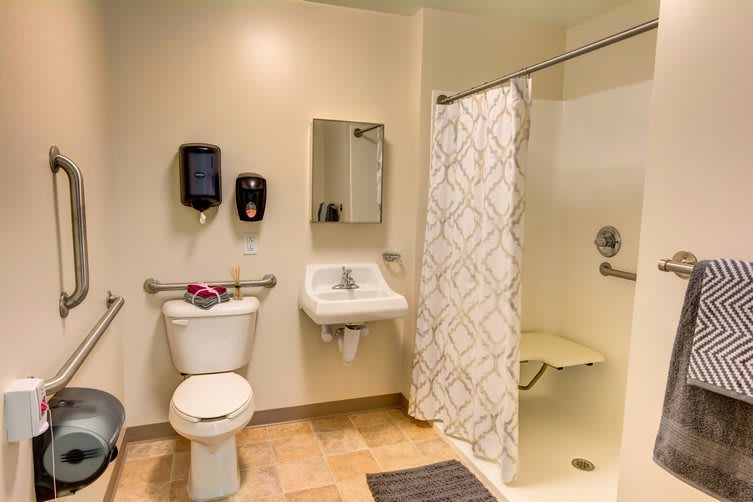 A handicap accessible bathroom with a toilet, sink, and shower area.