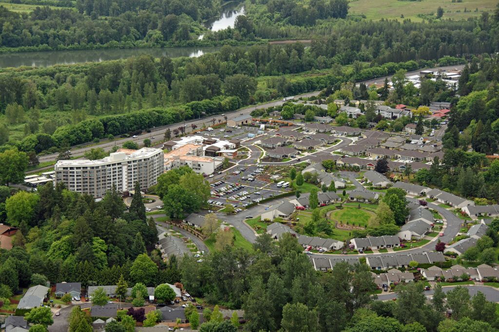 Aerial view of a suburban residential area surrounded by greenery.