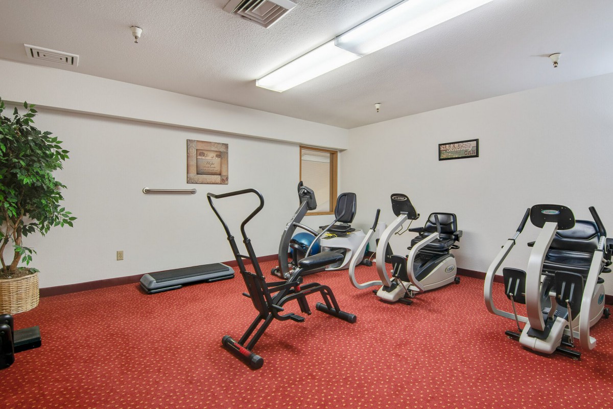 A small indoor gym with various exercise machines on a red carpeted floor.
