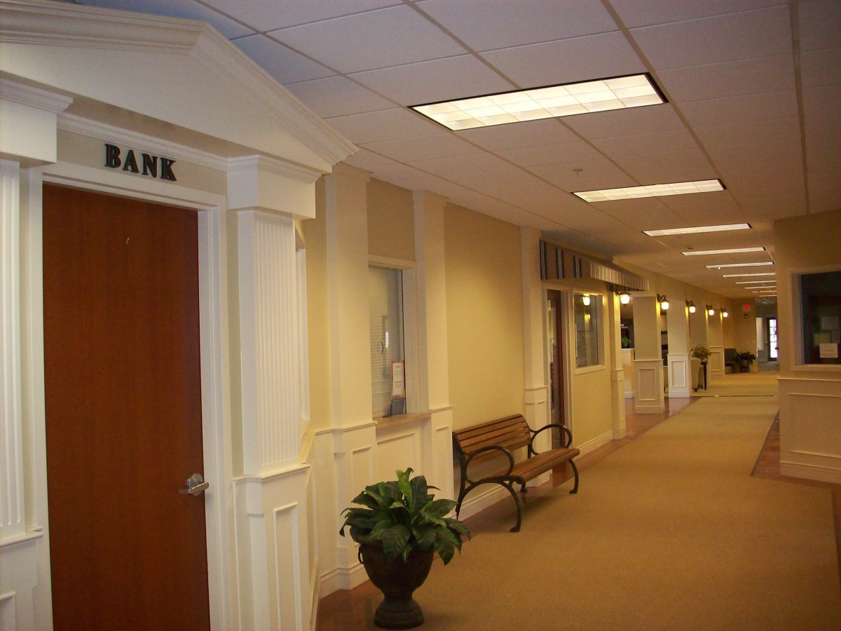 A quiet office corridor with a bank door, lit by ceiling lights, featuring a bench and a plant.