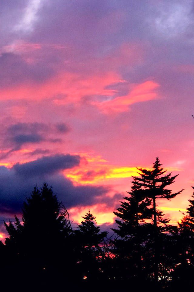 A vibrant sunset with silhouettes of trees against a colorful sky.