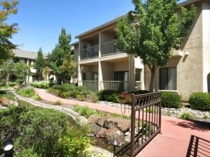A well-maintained apartment complex with lush landscaping and a paved pathway.