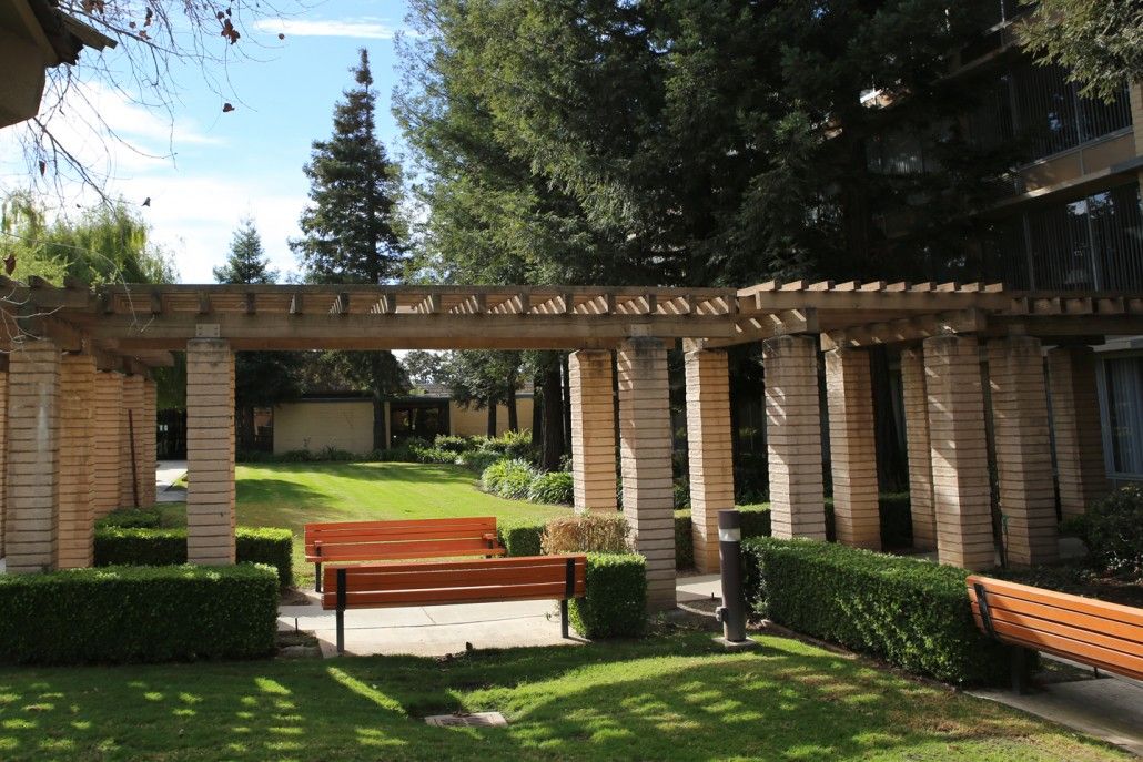 A serene garden with a wooden bench under a pergola, surrounded by lush greenery and tall trees.