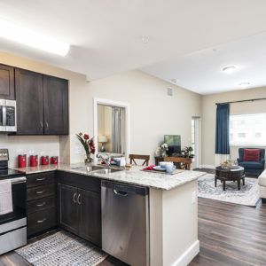 A modern open-concept kitchen and living room in a stylish apartment.