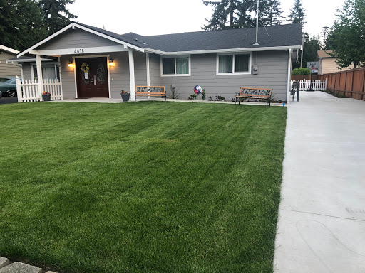 A well-maintained house with a lush green lawn and tidy landscaping in a suburban neighborhood.