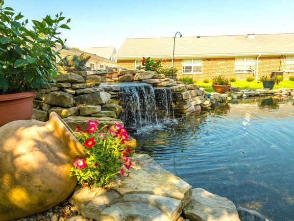 A serene garden pond with a cascading waterfall surrounded by rocks and vibrant flowers on a sunny day.